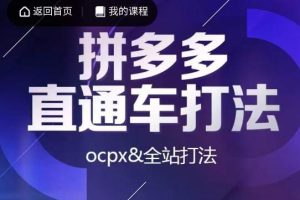 互力·拼多多直通车打法,ocpx&全站打法-麦资源网
