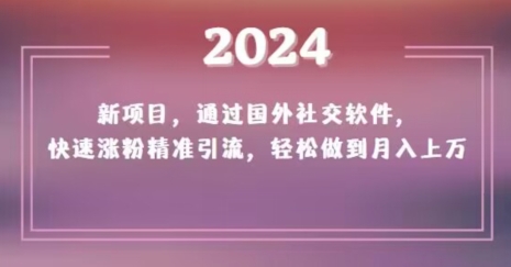 2024新项目，通过国外社交软件，快速涨粉*引流，轻松做到月入上万【揭秘】