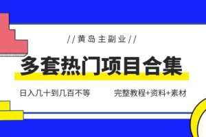 (6056期)黄岛主副业多套热门项目合集:日入几十到几百不等(完整教程+资料+素材)-麦资源网