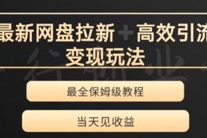 最新最全夸克网盘拉新变现玩法，多种裂变，举一反三变现玩法【揭秘】-麦资源网