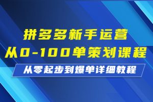 （6920期）拼多多新手运营从0-100单策划课程，从零起步到爆单详细教程-麦资源网