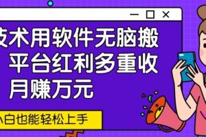 新技术用软件无脑搬运,平台红利多重收益,月赚万元,小白也能轻松上手-麦资源网