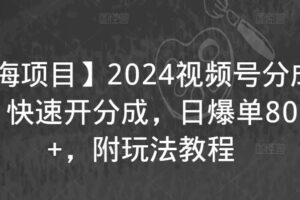 【蓝海项目】2024视频号分成计划，快速开分成，日爆单8000+，附玩法教程-麦资源网