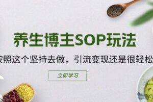 养生博主SOP玩法，按照这个坚持去做，引流变现还是很轻松的-麦资源网