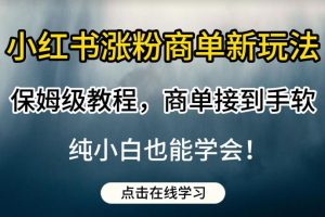 小红书涨粉商单新玩法,保姆级教程,商单接到手软,纯小白也能学会【揭秘】-麦资源网