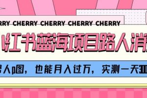 小红书蓝海项目路人消失术，帮人p图，也能月入过万，实测一天300+【揭秘】-麦资源网