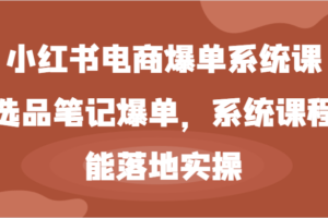 小红书电商爆单系统课-选品笔记爆单，系统课程，能落地实操-麦资源网