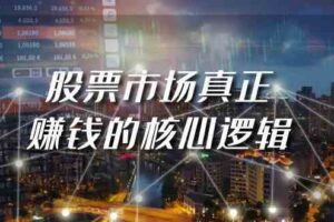 某公众号付费文章《股票市场真正赚钱的核心逻辑》-麦资源网