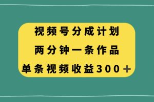 （8000期）视频号分成计划，两分钟一条作品，单视频收益300+-麦资源网