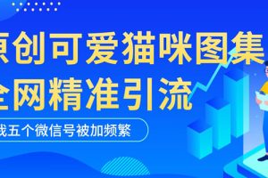 （5498期）黑科技纯原创可爱猫咪图片，全网精准引流，实操5个VX号被加频繁-麦资源网