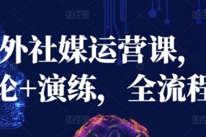 海外社媒运营课,理论+演练,全流程-麦资源网