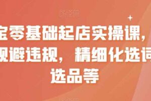 淘宝零基础起店实操课，店铺规避违规，精细化选词及选品等-麦资源网