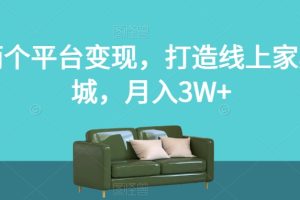 两个平台变现，打造线上家具城，月入3W+【揭秘】-麦资源网