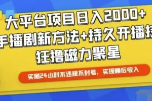 （10694期）快手24小时无人直播，真正实现睡后收益-麦资源网
