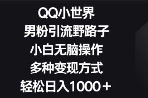 QQ小世界男粉引流野路子，小白无脑操作，多种变现方式轻松日入1000＋-麦资源网