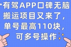 有驾APP口碑无脑搬运项目又来了，单号最高110块，可多号操作-麦资源网
