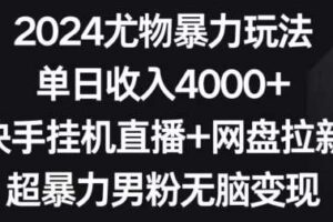 2024尤物暴力玩法，单日收入4000+，快手挂机直播+网盘拉新，超暴力男粉无脑变现【揭秘】-麦资源网