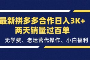 （11288期）最新拼多多合作日入3K+两天销量过百单，无学费、老运营代操作、小白福利-麦资源网