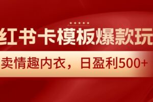 小红书卡模板爆款玩法，售卖情趣内衣，日盈利500+【揭秘】-麦资源网