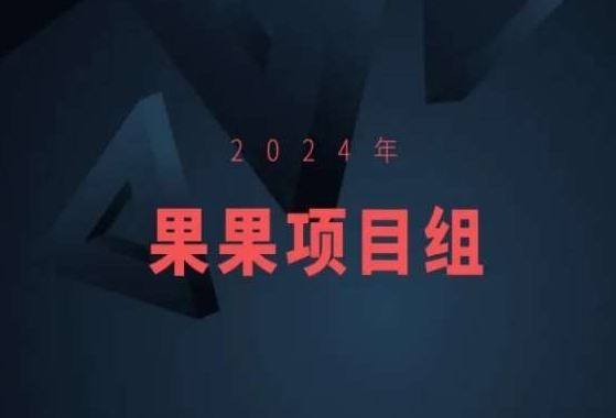 2024年果果项目组项目合集-果果*项目