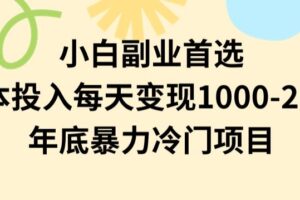 小白副业首选,0成本投入,每天变现1000-2000年底暴力冷门项目【揭秘】-麦资源网
