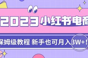 阿本小红书电商陪跑营4.0,带大家从0到1把小红书做起来-麦资源网