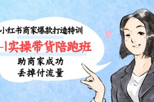 （5262期）小红书商家爆款打造特训（14期）0-1实操带货陪跑班，助商家成功丢掉付流量-麦资源网
