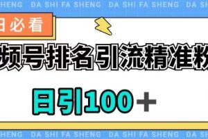视频号引流精准粉，日引100+，流量爆炸【揭秘】-麦资源网
