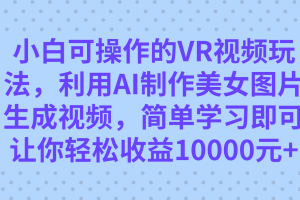 （7452期）小白可操作的VR视频玩法，利用AI制作美女图片生成视频，你轻松收益10000+-麦资源网