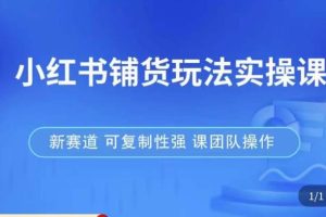 小红书铺货玩法实操课，流量大，竞争小，非常好做，新赛道，可复制性强，可团队操作-麦资源网