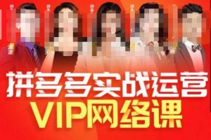 推易拼多多VIP全套直播课程，拼多多店铺实操玩法+实战玩法选款内功+直通车高阶等-麦资源网