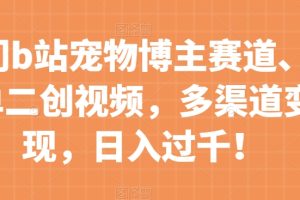 冷门b站宠物博主赛道，简单二创视频，多渠道变现，日入过千！【揭秘】-麦资源网