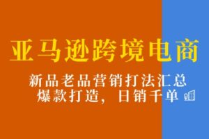 （11433期）亚马逊跨境电商：新品老品营销打法汇总，爆款打造，日销千单-麦资源网