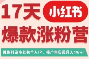 17天小红书爆款涨粉营（广告变现方向），教你打造小红书博主IP、接广告变现的-麦资源网