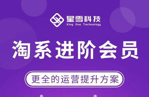 星雪·淘系进阶课程，快速提升突破技能流量瓶颈*（更新2023年5月）