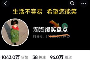 价值1000的搞笑盘点大V淘淘爆笑盘点详细课程+软件，中视频变现-麦资源网