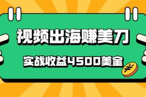 国内爆款视频出海赚美刀，实战收益4500美金，批量无脑搬运，无需经验直接上手-麦资源网