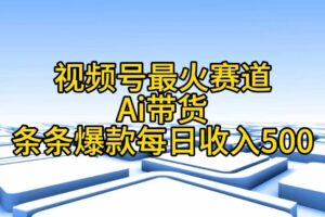 （11038期）视频号最火赛道——Ai带货条条爆款每日收入500-麦资源网