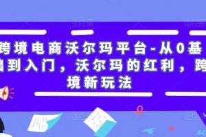 跨境电商沃尔玛平台-从0基础到入门，沃尔玛的红利，跨境新玩法-麦资源网