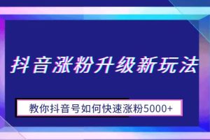 抖音涨粉升级新玩法，教你抖音号如何快速涨粉5000+【揭秘】-麦资源网