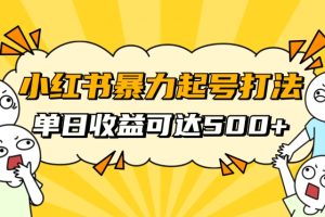小红书暴力起号秘籍，11月最新玩法，单天变现500+，素人冷启动自媒体创业【揭秘】-麦资源网