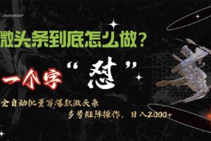 （9809期）微头条最新最强连怼操作，10分钟50条，真正解放双手，月入1w+-麦资源网