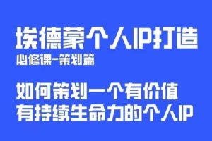 埃德蒙普通人都能起飞的个人IP策划课，如何策划一个优质个人IP-麦资源网