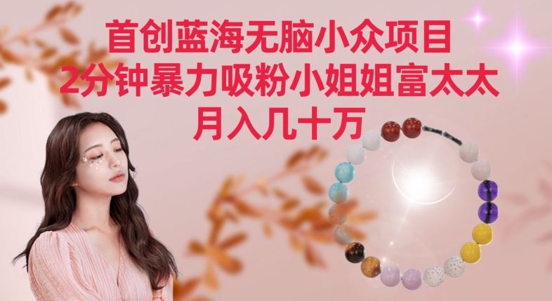 *蓝海无脑小众项目，2分钟*吸粉小姐姐富太太，月入几十万【揭秘】