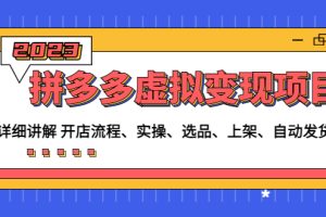 （4824期）拼多多虚拟变现项目：讲解开店流程-实操-选品-上架-自动发货等(无中创水印)-麦资源网