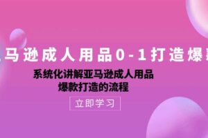（10493期）亚马逊成人用品0-1打造爆款：系统化讲解亚马逊成人用品爆款打造的流程-麦资源网