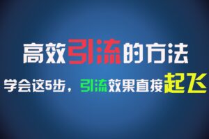 高效引流的方法，可以帮助你日引300+创业粉，一年轻松收入30万，比打工强太多！-麦资源网