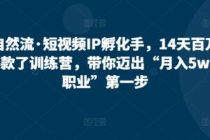 自然流·短视频IP孵化手，14天百万爆款了训练营，带你迈出“月入5w新职业”第一步-麦资源网