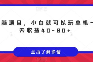 无脑项目，小白就可以玩单机一天收益40-80+【揭秘】-麦资源网