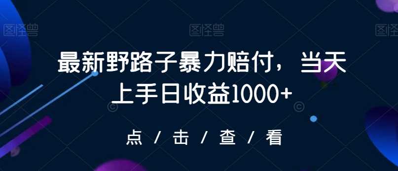 *野路子*赔付，当天上手日收益1000+【仅揭秘】